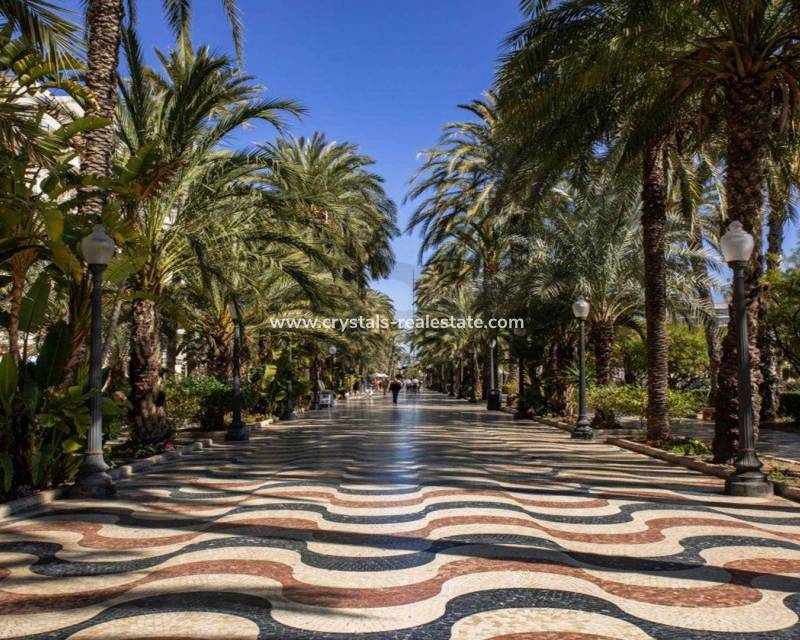 Nouvelle construction - Penthouse - Alicante - Centro