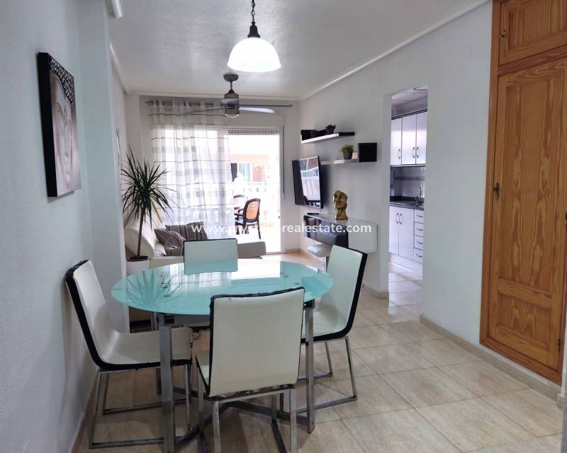 Alquiler a largo plazo - Apartamento - Guardamar del Segura - Costa Blanca