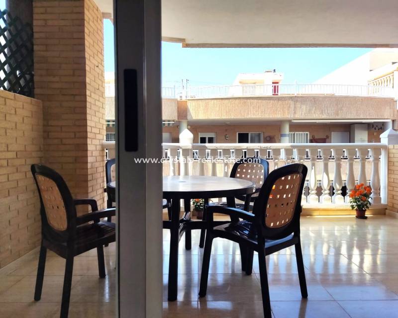 Alquiler a largo plazo - Apartamento - Guardamar del Segura - Costa Blanca