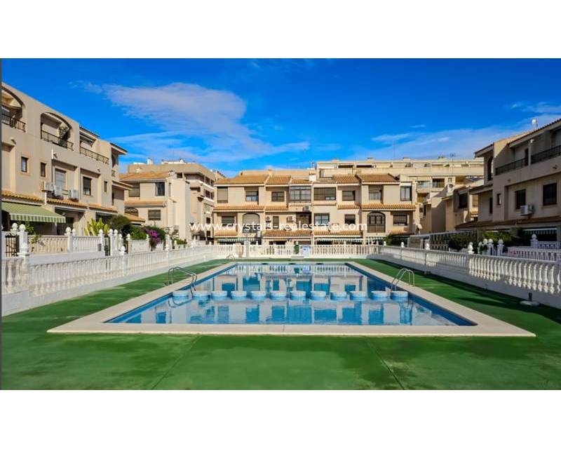 Venta - Semi-detached house - Guardamar De La Segura