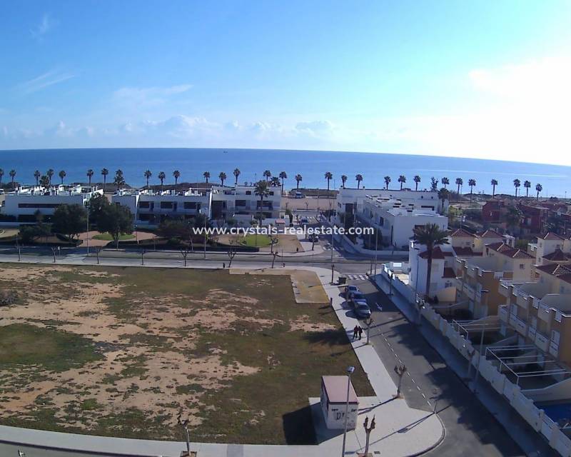 Nouvelle construction - Penthouse - Pilar de la Horadada - Playa de las Higuericas