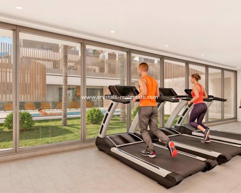 Nouvelle construction - Penthouse - Pilar de la Horadada - Playa de las Higuericas