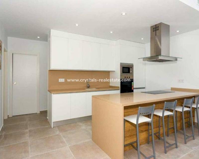 Nouvelle construction - villa - Daya Nueva - Centro