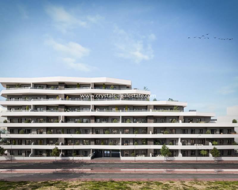 Neubau - Penthouse - San Miguel de Salinas - Pueblo