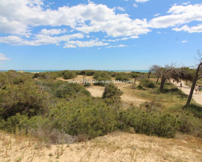 Bestaande woningen - Semi Detached - Ciudad Quesada