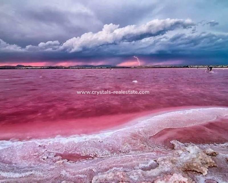 Nieuwbouw - Appartement - Torrevieja - Centro