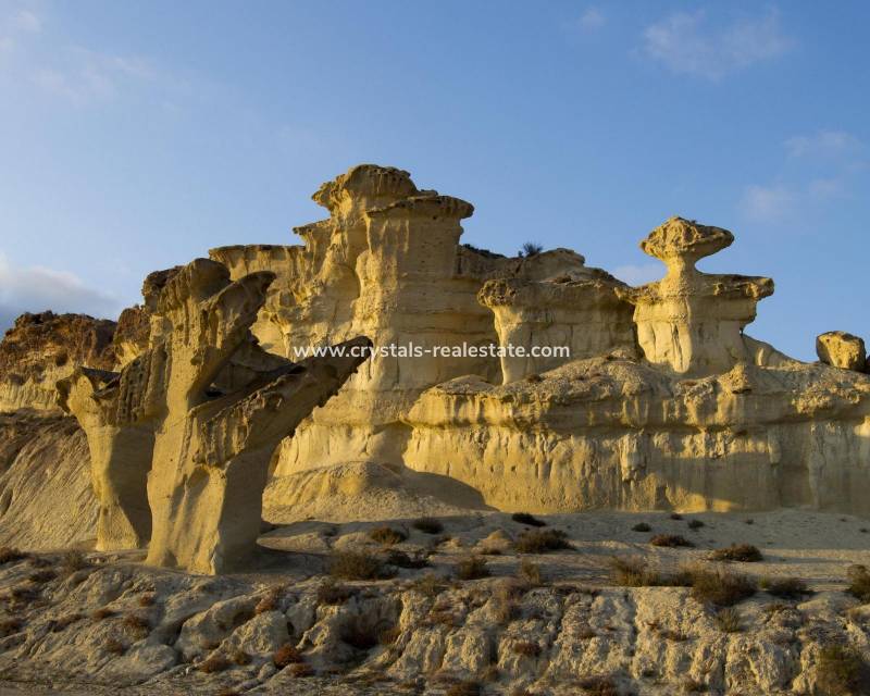 Nouvelle construction - villa - Fuente Álamo - La Pinilla