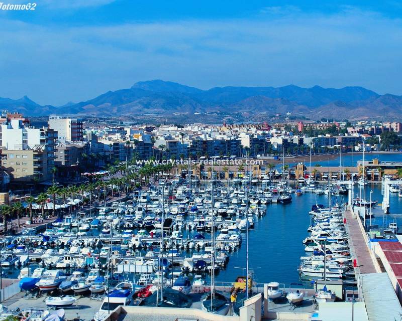 Nouvelle construction - villa - Fuente Álamo - La Pinilla