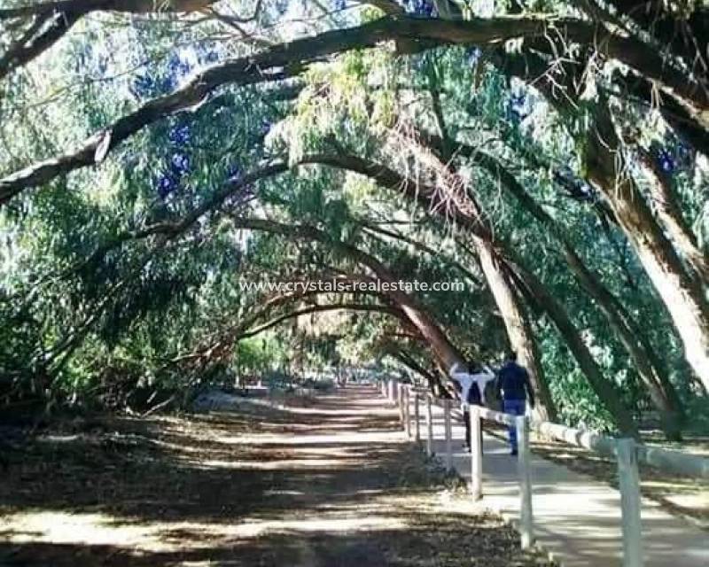 Nouvelle construction - Bungalow - Torrevieja - Altos del Sol