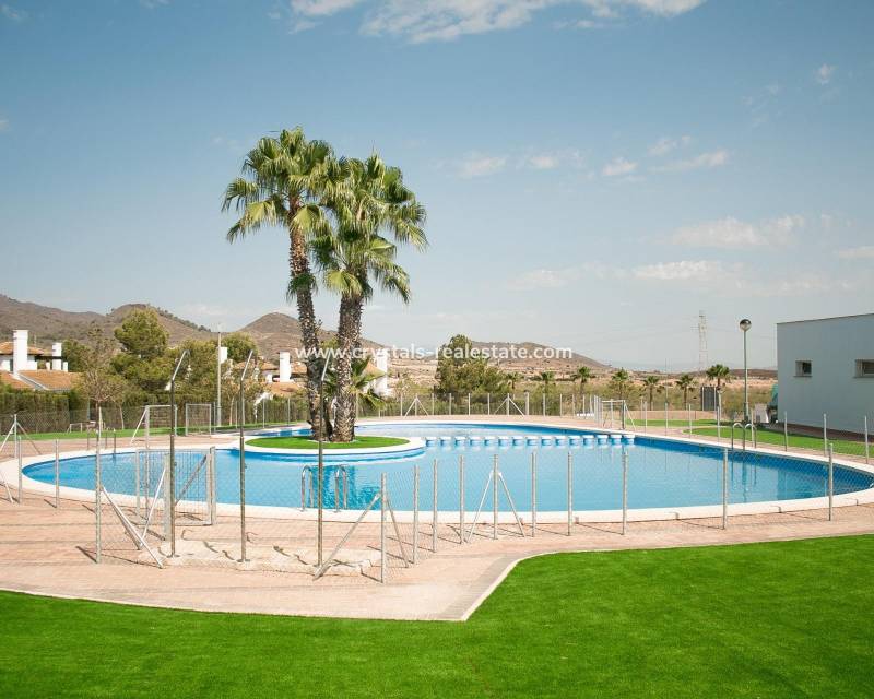 Nouvelle construction - villa - Fuente Álamo - Las Palas