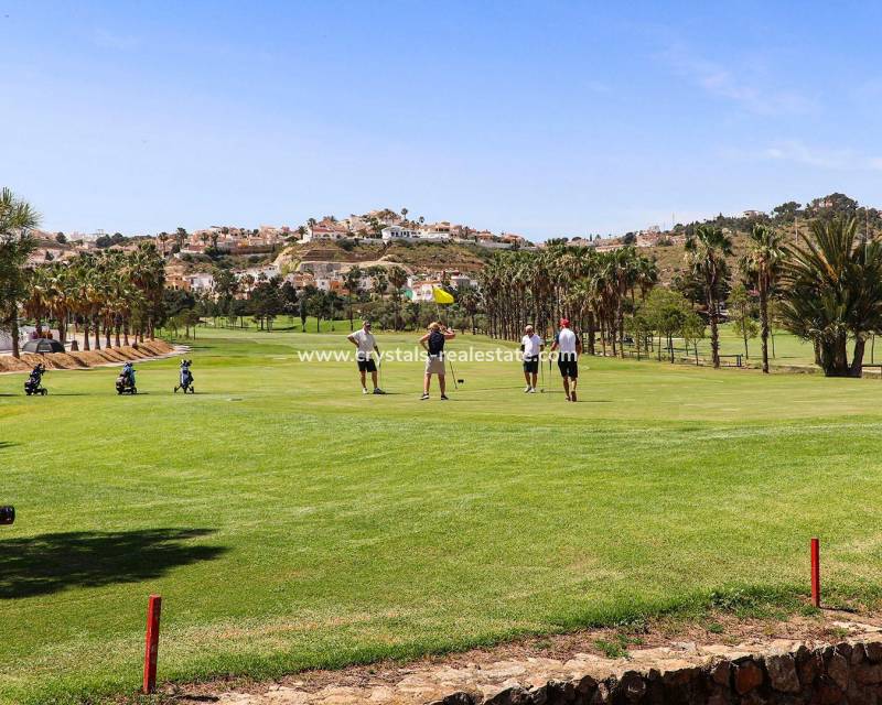 New Build - villa - Rojales - Ciudad Quesada