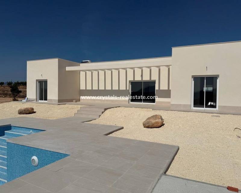 New Build - villa - Pinoso - Camino Del Prado