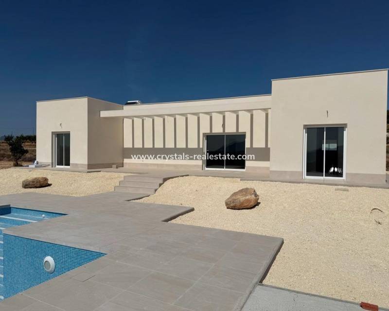 New Build - villa - Pinoso - Camino Del Prado