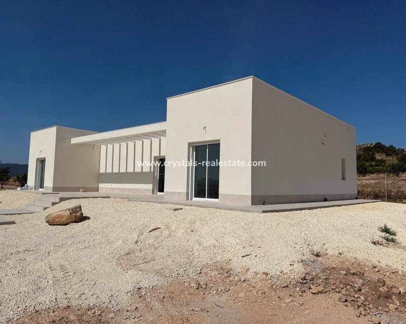 New Build - villa - Pinoso - Camino Del Prado