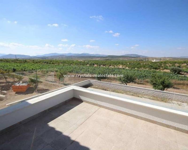 Neubau - villa - Pinoso - Camino Del Prado