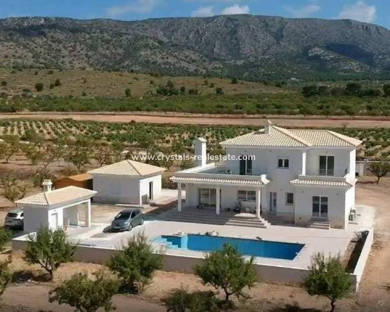 Neubau - villa - Pinoso - Camino Del Prado