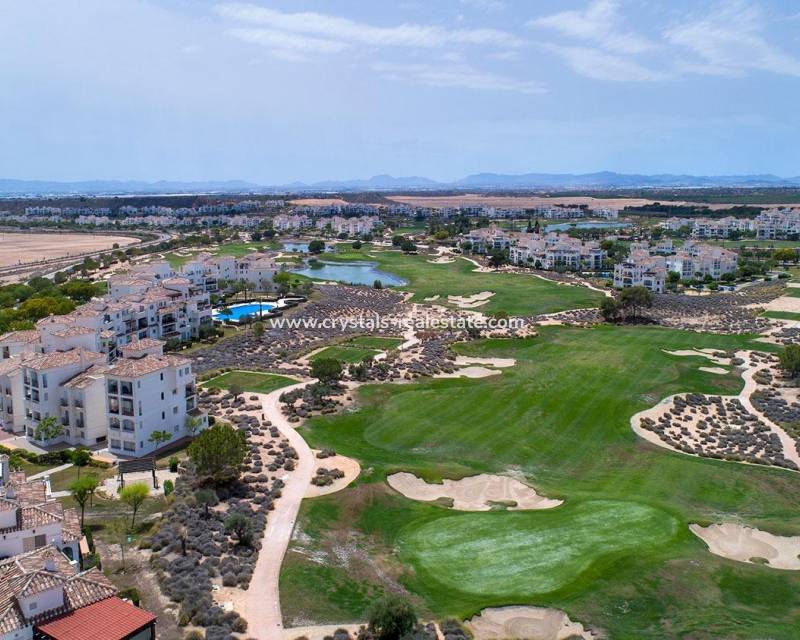 New Build - villa - Sucina