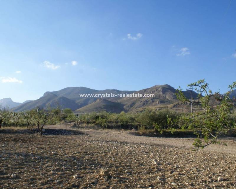 Wiederverkauf - Plot - Murcia