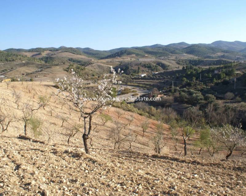 Wiederverkauf - Plot - Murcia