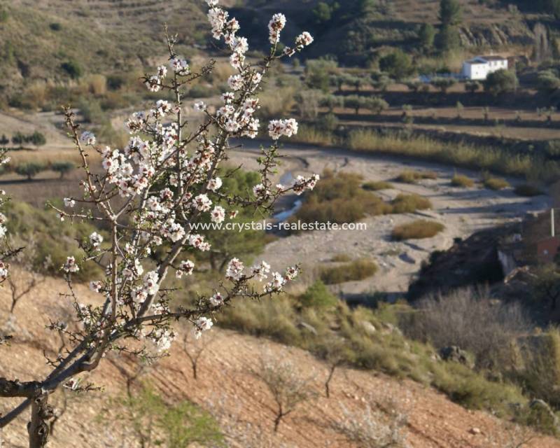 Wiederverkauf - Plot - Murcia