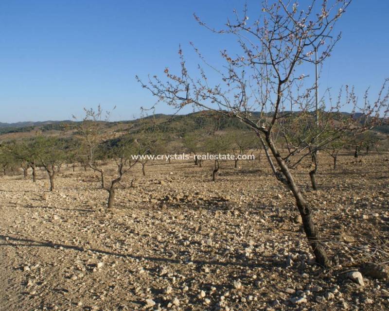 Wiederverkauf - Plot - Murcia