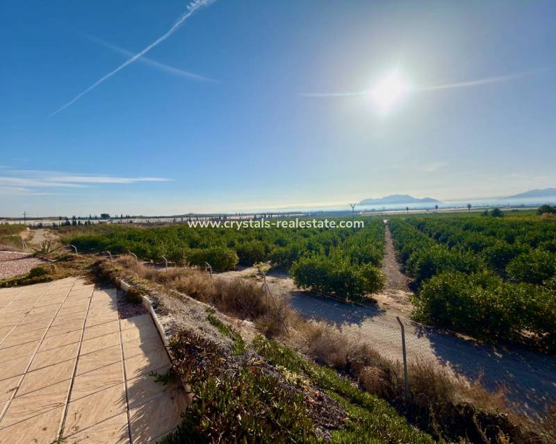 Wiederverkauf - Finca / Country Property - Orihuela