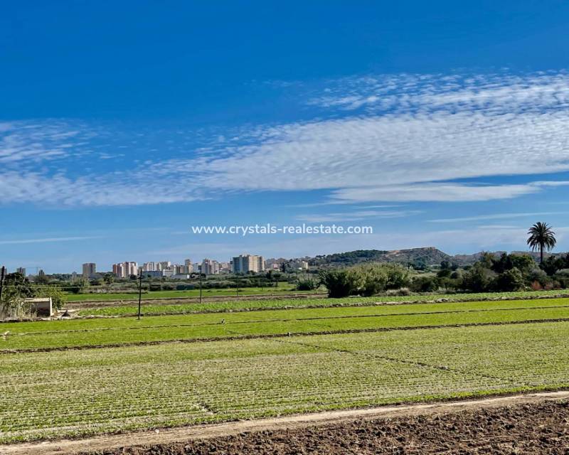 Venta - villa - Guardamar del Segura