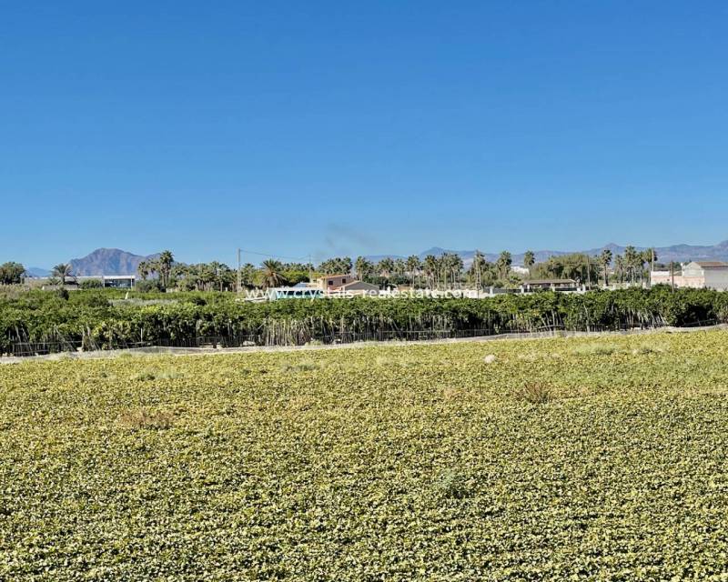 Venta - villa - Guardamar del Segura