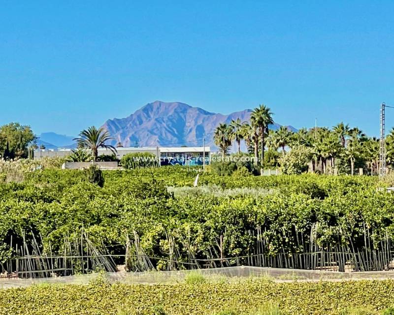 Venta - villa - Guardamar del Segura