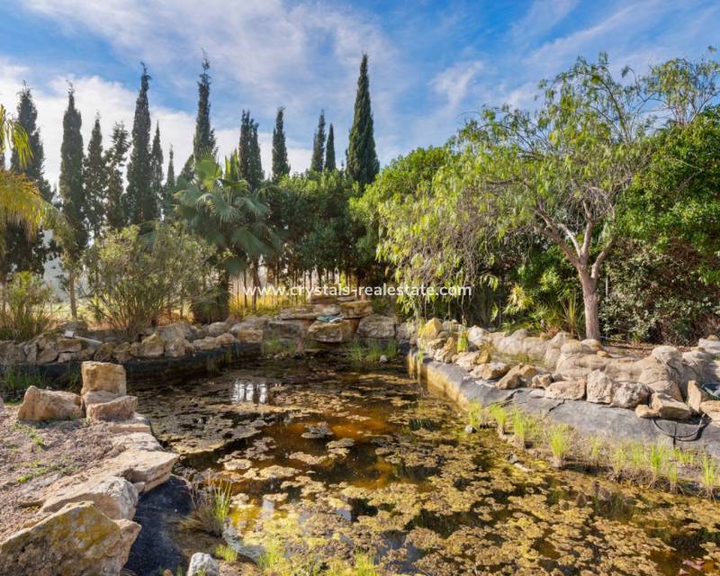 Resale - Finca / Country Property - Catral