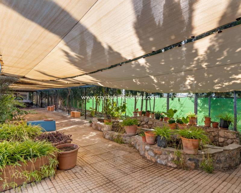 Resale - Finca / Country Property - Catral