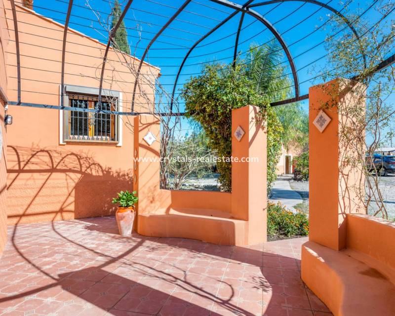 Resale - Finca / Country Property - Catral