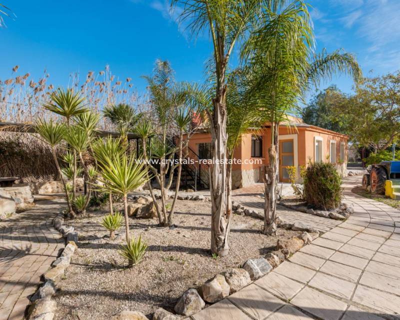 Resale - Finca / Country Property - Catral