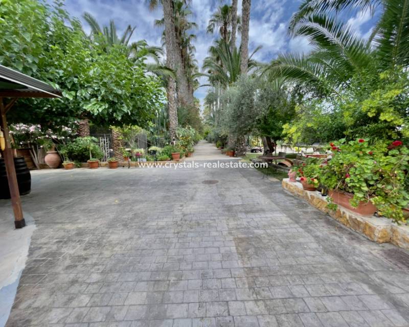 Venta - Finca / Country Property - Orihuela