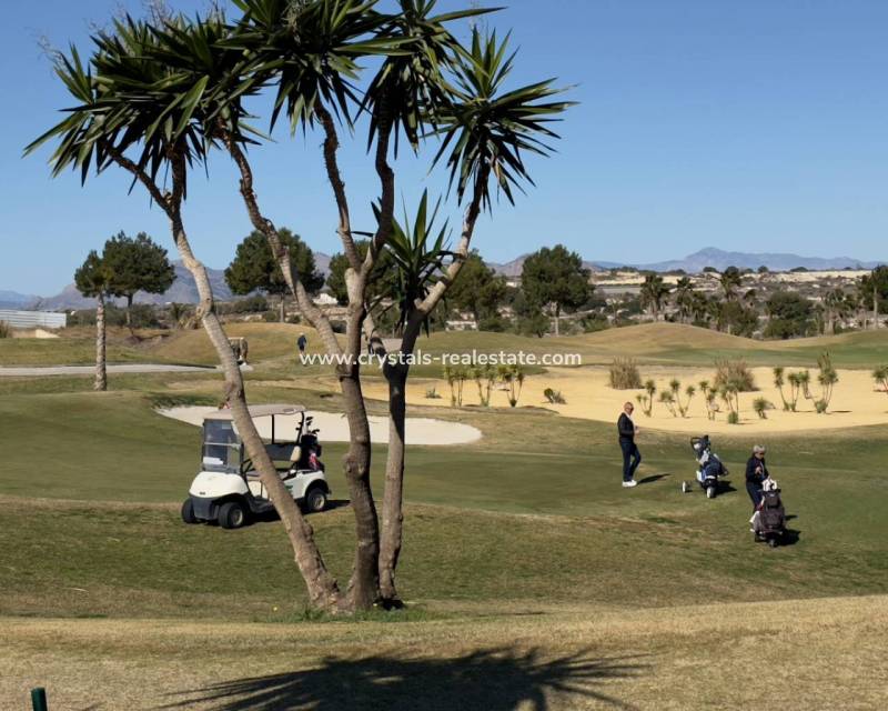 Nieuwbouw - villa - Los Montesinos