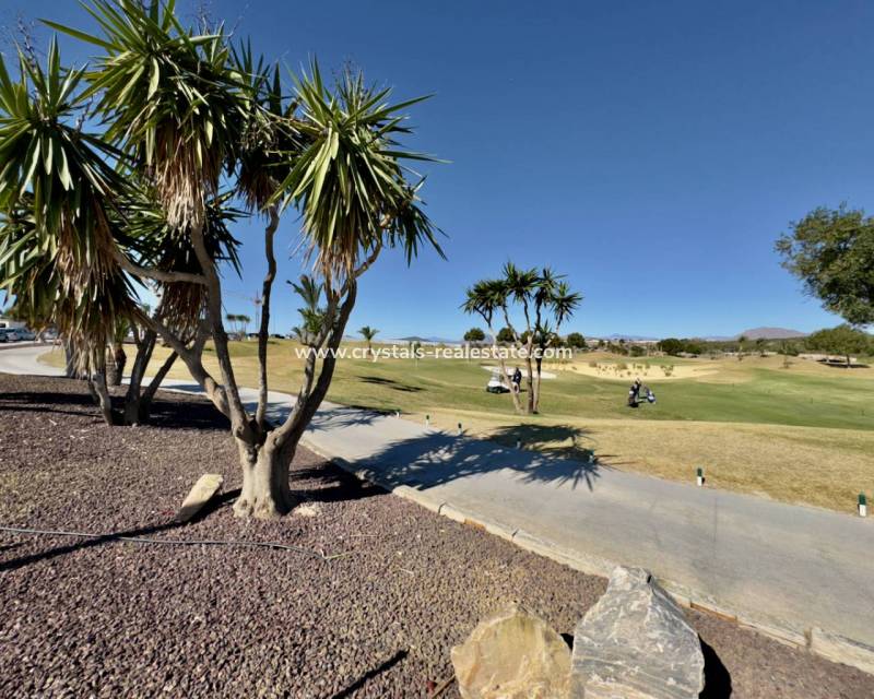 Nieuwbouw - villa - Los Montesinos