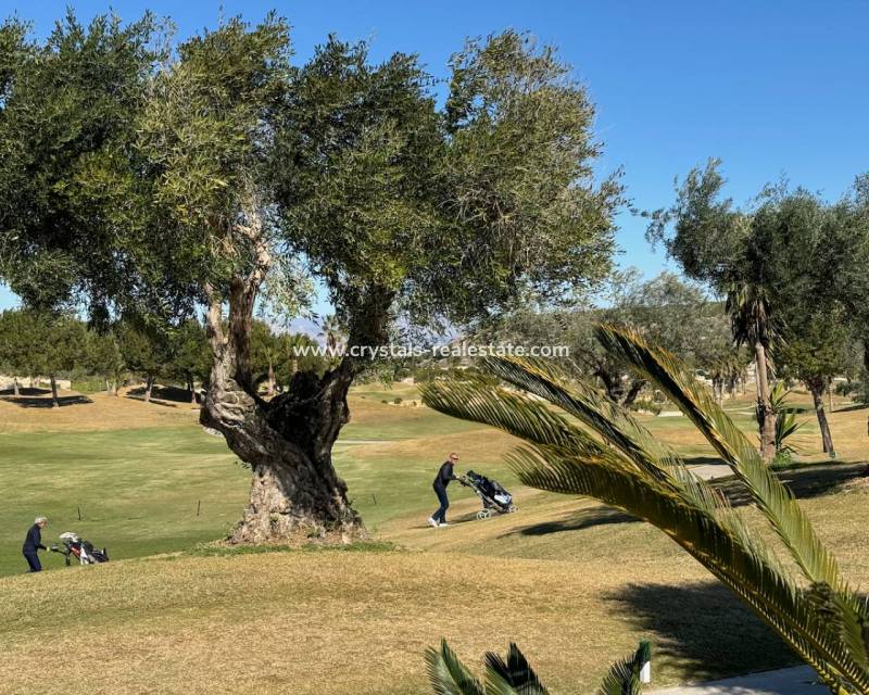 Nieuwbouw - villa - Los Montesinos