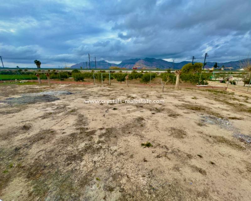 Revente - Finca / Country Property - Orihuela
