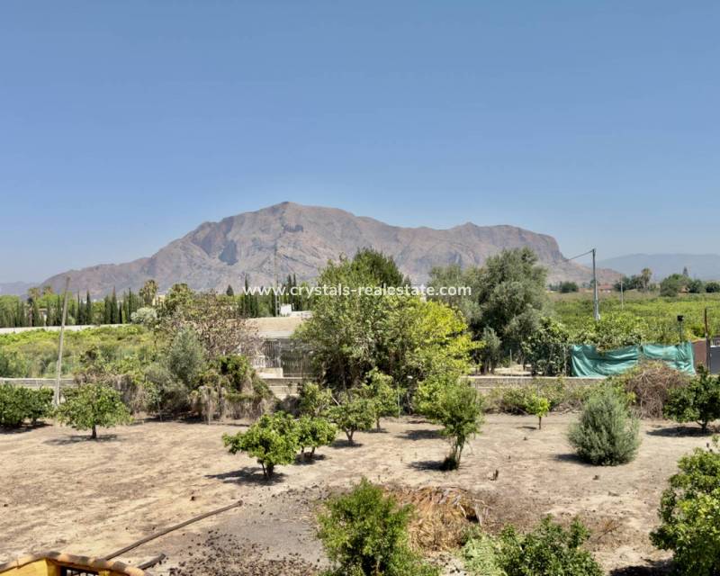 Resale - Finca / Country Property - Orihuela