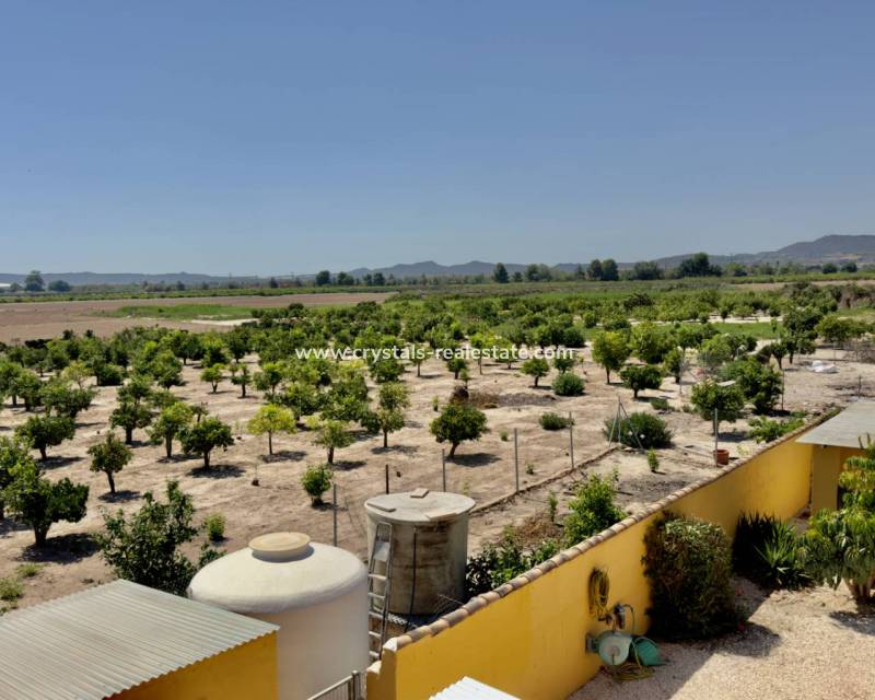 Resale - Finca / Country Property - Orihuela