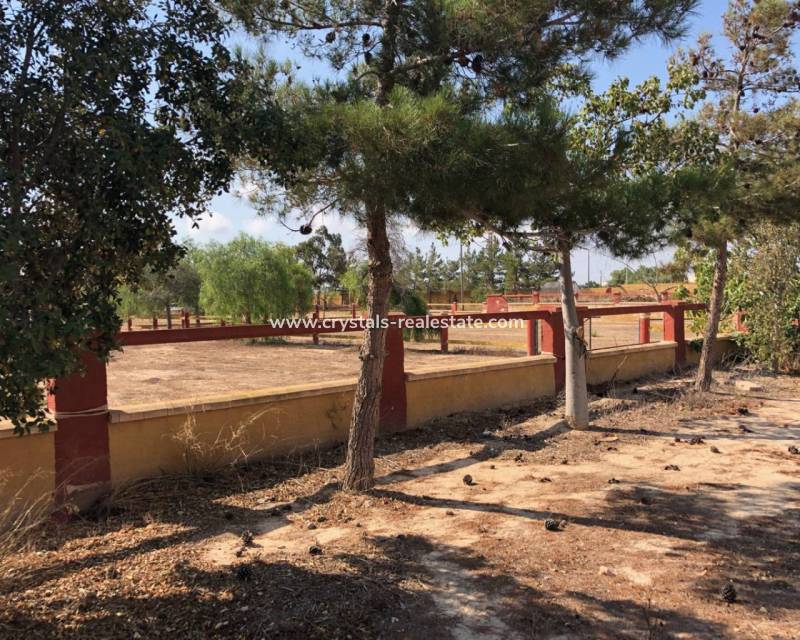 Venta - Finca / Country Property - Los Montesinos