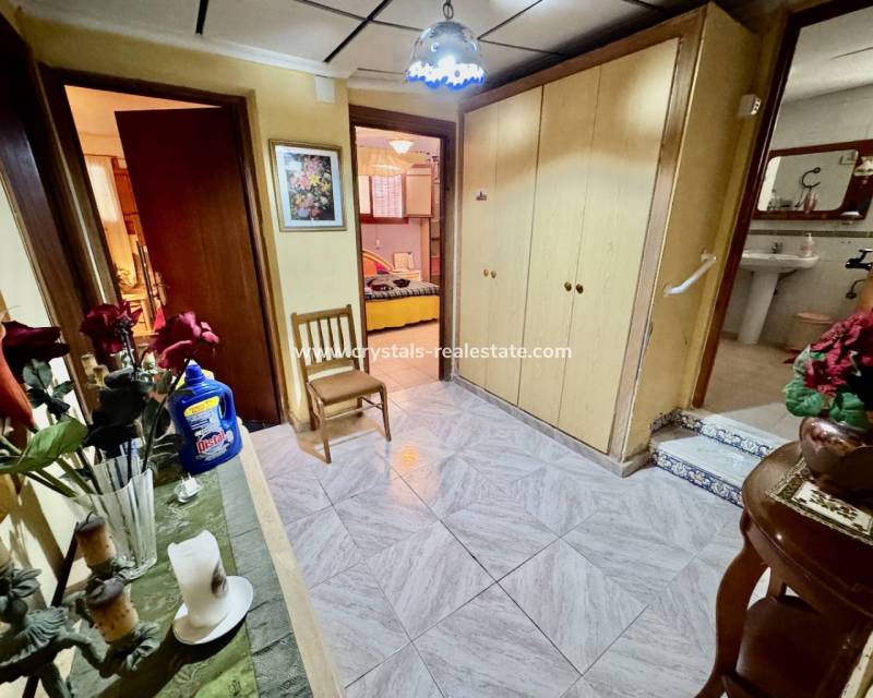 Bestaande woningen - Finca / Country Property - Guardamar del Segura