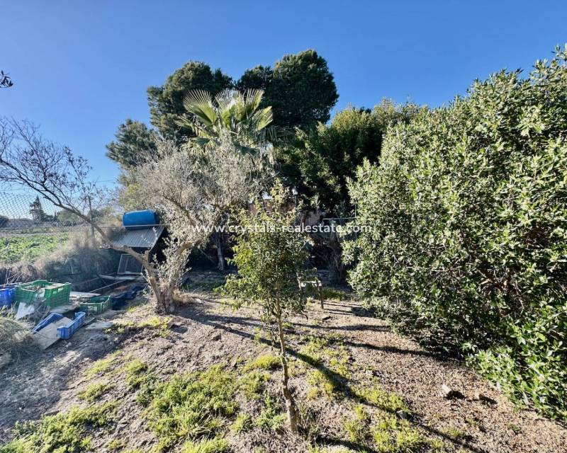 Bestaande woningen - Finca / Country Property - Guardamar del Segura