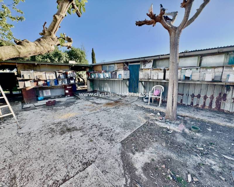 Bestaande woningen - Finca / Country Property - Guardamar del Segura