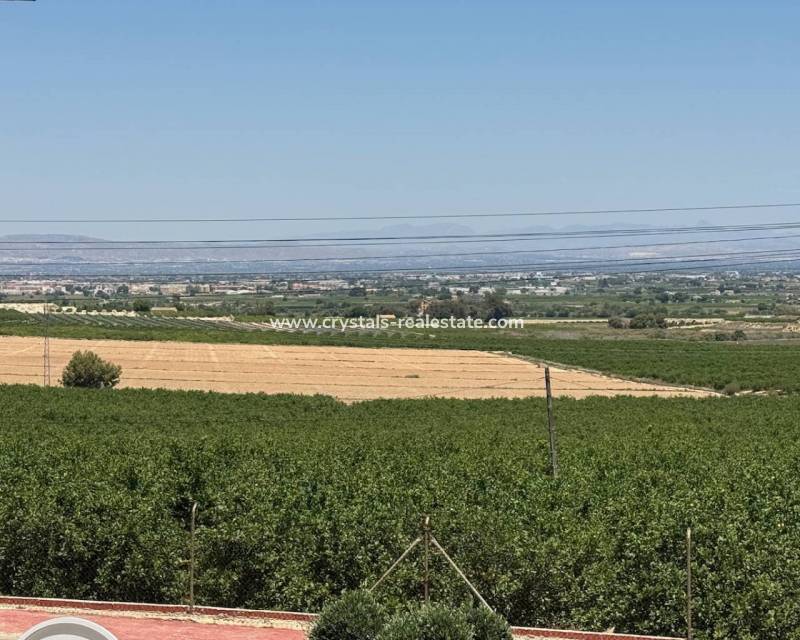 Bestaande woningen - villa - Algorfa - Lomas De La Juliana