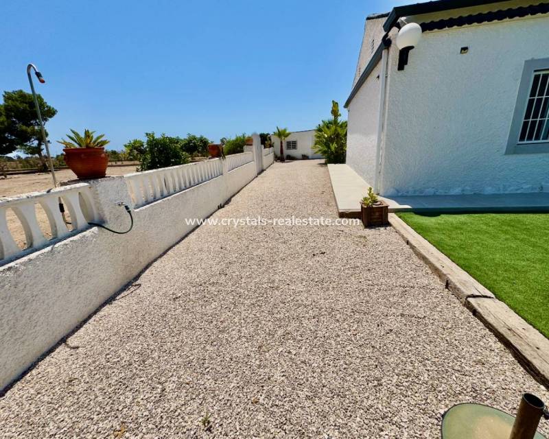 Resale - Finca / Country Property - Torrellano