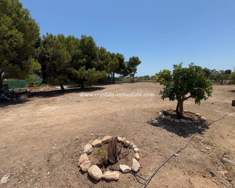 Resale - Finca / Country Property - Torrellano