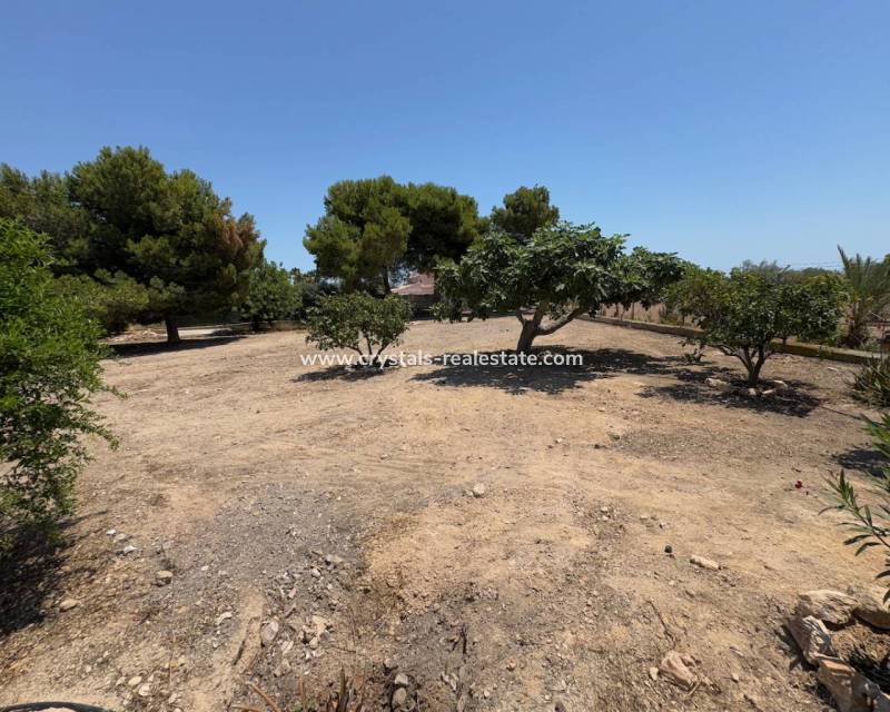 Resale - Finca / Country Property - Torrellano