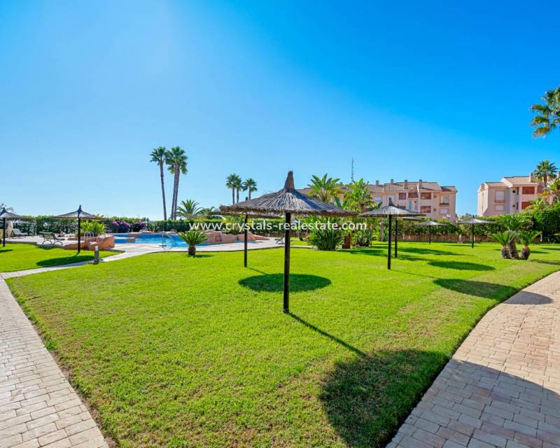 Wiederverkauf - Apartment - Cabo Roig