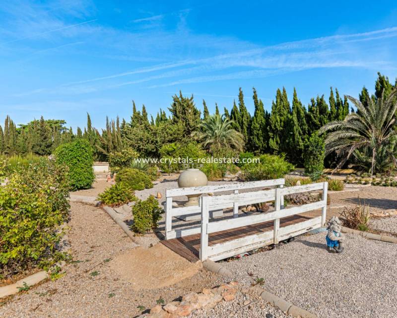 Wiederverkauf - Finca / Country Property - Los Montesinos